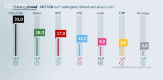 AfD se nachází na nejnižších ročních hodnotách