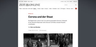 Koronakrize a moc státu