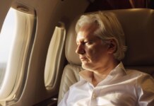 Julian Assange: průkopník žurnalistiky