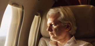 Julian Assange: průkopník žurnalistiky